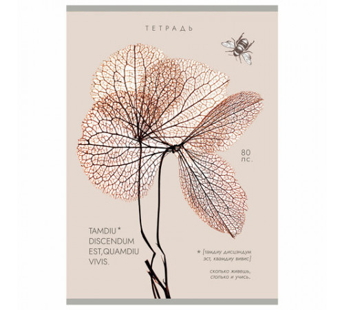 Тетрадь А4 80 л. ПЗБМ, скоба, клетка, Soft Touch, брайль, 
