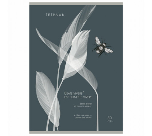 Тетрадь А4 80 л. ПЗБМ, скоба, клетка, Soft Touch, брайль, 