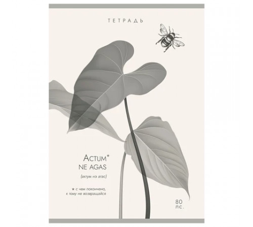 Тетрадь А4 80 л. ПЗБМ, скоба, клетка, Soft Touch, брайль, 