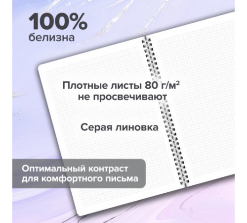Тетради ДЭК А4 96 л. КОМПЛЕКТ 2 шт., BRAUBERG, гребень, клетка, 80 г/м2, Soft-Touch, 