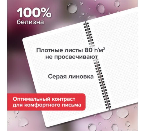 Тетради ДЭК А4 96 л. КОМПЛЕКТ 2 шт., BRAUBERG, гребень, клетка, 80 г/м2, Soft-Touch, 