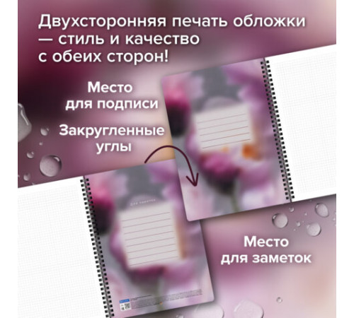 Тетради ДЭК А4 96 л. КОМПЛЕКТ 2 шт., BRAUBERG, гребень, клетка, 80 г/м2, Soft-Touch, 