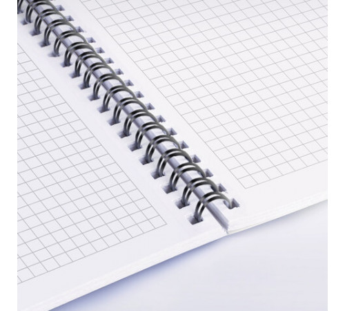 Тетради ДЭК А4 96 л. КОМПЛЕКТ 2 шт., BRAUBERG, гребень, клетка, 80 г/м2, Soft-Touch, 