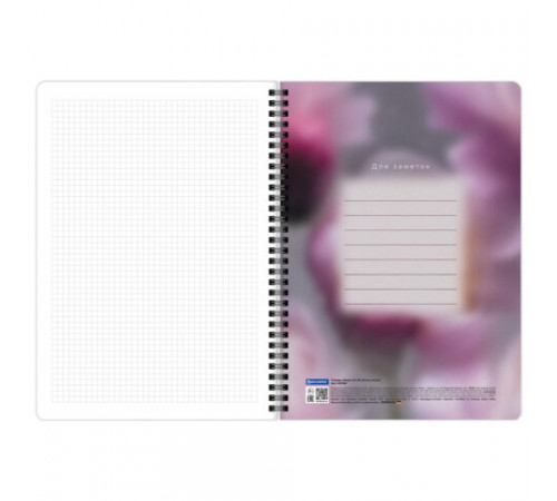 Тетради ДЭК А4 96 л. КОМПЛЕКТ 2 шт., BRAUBERG, гребень, клетка, 80 г/м2, Soft-Touch, 