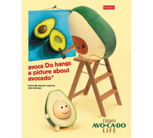 Тетрадь А5, 48 л., HATBER, скоба, клетка, обложка картон, AvoCaDo life (5 видов в спайке), 48Т5В1