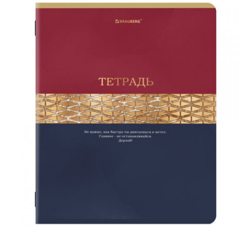 Тетради ДЭК А5 48 л. КОМПЛЕКТ 5 шт. BRAUBERG скоба, клетка, SoftTouch, фольга, GOLDY, 404925
