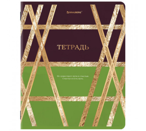 Тетради ДЭК А5 48 л. КОМПЛЕКТ 5 шт. BRAUBERG скоба, клетка, SoftTouch, фольга, GOLDY, 404925
