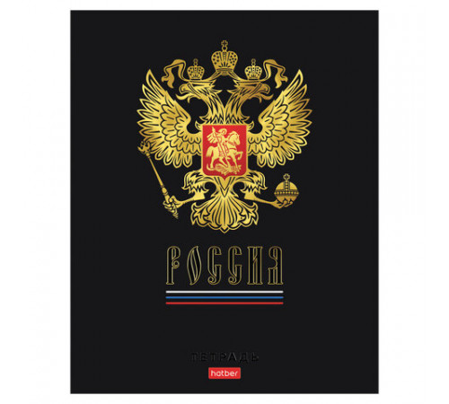 Тетрадь А5 48 л., HATBER, скоба, клетка, матовая ламинация, 3D-фольга, 3D-лак, Россия (микс), 093210, 48Т5лофлВ1