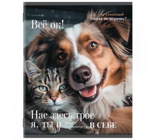 Тетрадь А5 48 л. STAFF 