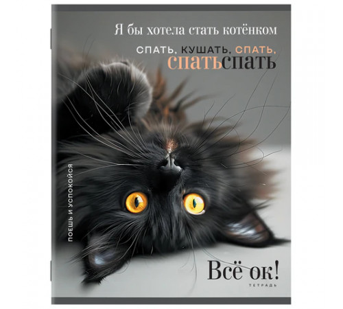 Тетрадь А5 48 л. STAFF 