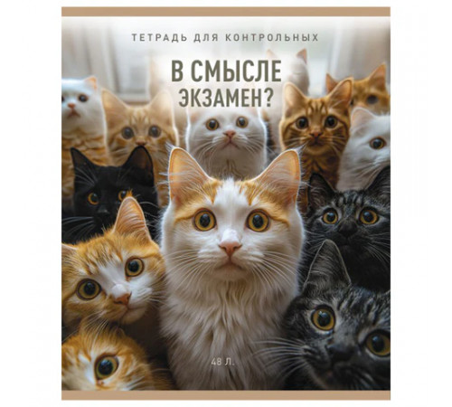 Тетрадь А5, 48 л., ПЗБМ, скоба, клетка, матовая ламинация, конгрев, выборочный лак, 
