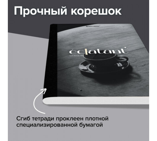 Тетрадь А5 96 л. BRAUBERG, на сшивке с корешком, клетка, обложка картон, 
