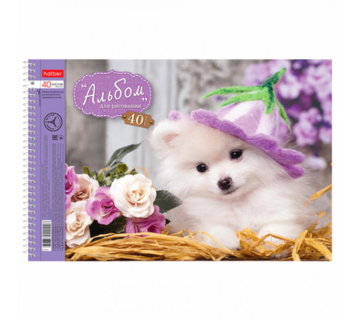 Альбом для рисования, А4, 40 листов, спираль, обложка картон, HATBER, 205х300 мм, 