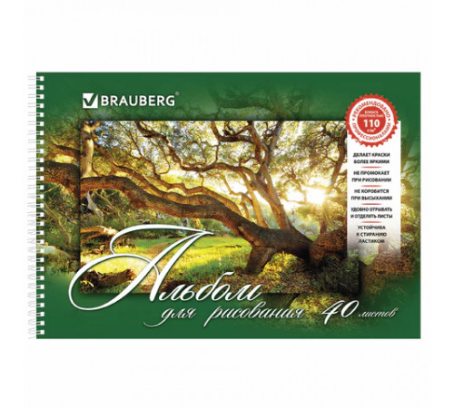 Альбом для рисования, А4, 40 листов, гребень, обложка картон, BRAUBERG, 195х285 мм, 