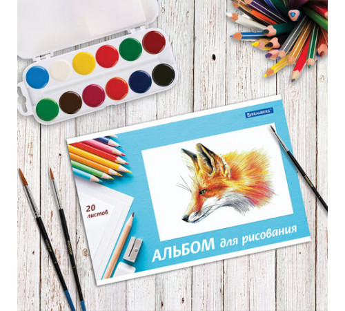 Альбом для рисования, А4, 20 л., скоба, обложка картон, BRAUBERG, 200х283 мм, 