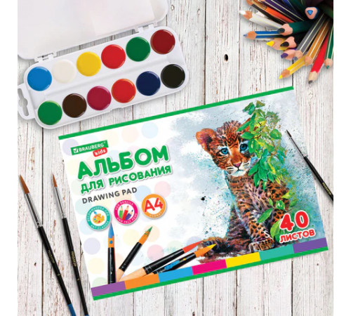 Альбом для рисования, А4, 40 листов, скоба, обложка картон, BRAUBERG KIDS, 200х285 мм, 