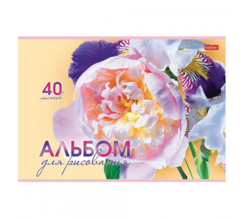 Альбом для рисования А4 40 л., скоба, обложка картон, HATBER, 205х290 мм, 