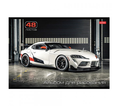 Альбом для рисования А4 48 л., скоба, обложка картон, HATBER, 205х290 мм, 