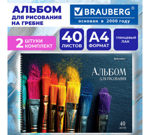 Альбомы для рисования ДЭК, А4, 40 л., КОМПЛЕКТ 2 шт., гребень, глянцевый лак, BRAUBERG, 200х290 мм, 