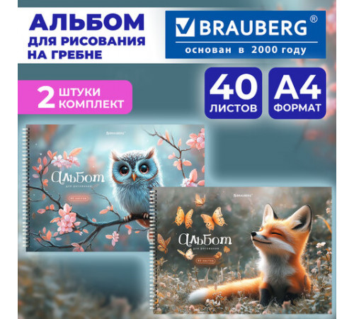 Альбомы для рисования ДЭК, А4, 40 л., КОМПЛЕКТ 2 шт., гребень, обложка картон, BRAUBERG, 200х290 мм, 