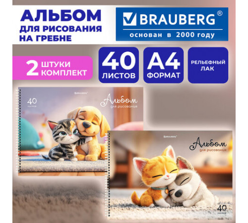 Альбомы для рисования ДЭК, А4, 40 л., КОМПЛЕКТ 2 шт., гребень, TWIN-лак, BRAUBERG, 200х290 мм, 