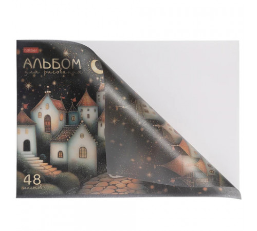 Альбом для рисования, обложка пластик, А4, 48 л., скоба, HATBER, 205х295 мм, 