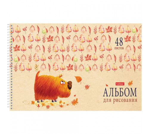 Альбом для рисования А4 48 л., спираль, обложка картон, HATBER, 205х290 мм, 