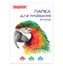 Папка для рисования, А4, 40 л., 120 г/м2, ПИФАГОР, 210х297 мм, 