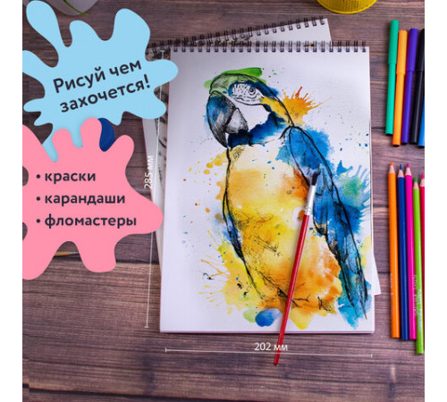 Альбомы для рисования ДЭК А4, 40 л., КОМПЛЕКТ 4 шт., гребень, обложка картон, BRAUBERG, 205х290 мм, 
