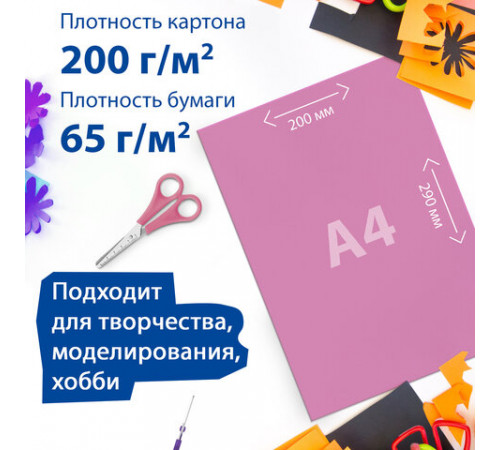 Набор картона и бумаги A4 мелованные (белый 10 л., цветной и бумага по 20 л.,10 цветов), BRAUBERG, 113567