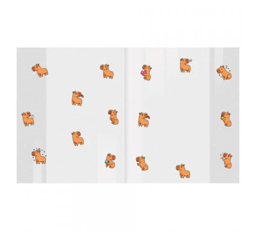 Обложки 