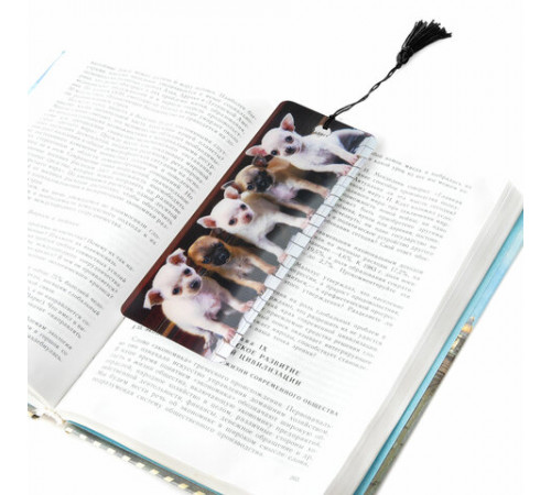 Закладка для книг с линейкой 3D-ОБЪЕМНАЯ BRAUBERG, 
