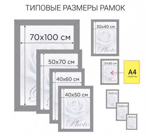 Рамка 30х40 см небьющаяся, STAFF 