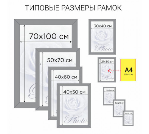 Рамка 21х30 см небьющаяся, КОМПЛЕКТ 3 шт., багет 20 мм дерево, BRAUBERG 