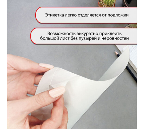 Этикетка самоклеящаяся ВСЕПОГОДНАЯ 210х297 мм, 1 этикетка, полиэстер, белая, 25 листов, TANEX, сырье Финляндия, 114545, TW-2000