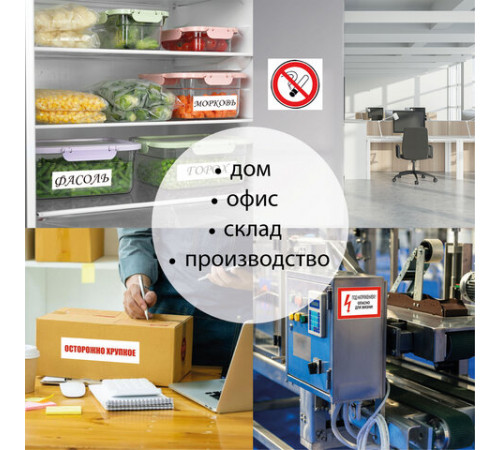 Этикетка самоклеящаяся ВСЕПОГОДНАЯ 210х297 мм, 1 этикетка, полиэстер, белая, 25 листов, TANEX, сырье Финляндия, 114545, TW-2000