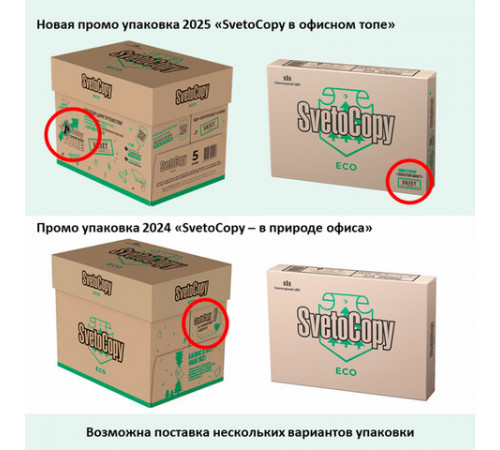 Бумага офисная А4, 80 г/м2, 500 л., SVETOCOPY ECO, белизна 60%, Россия