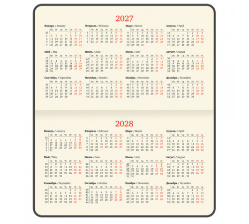 Еженедельник датированный 2027, МАЛЫЙ ФОРМАТ, 105х160 мм, А6, BRAUBERG 