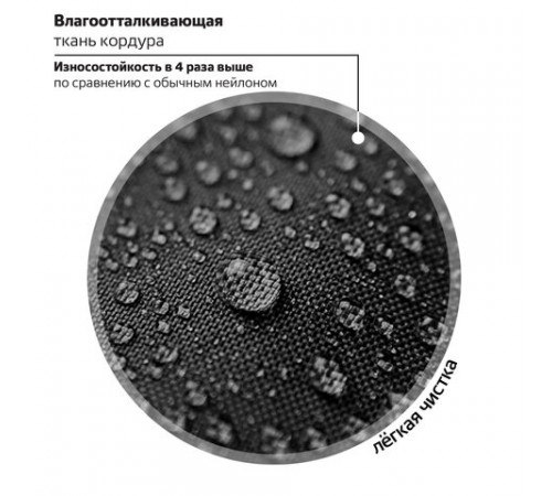Ранец BRAUBERG PREMIUM, 2 отделения, с брелоком, 